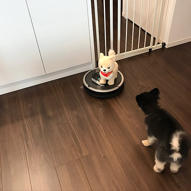 kurukirさんの実例写真