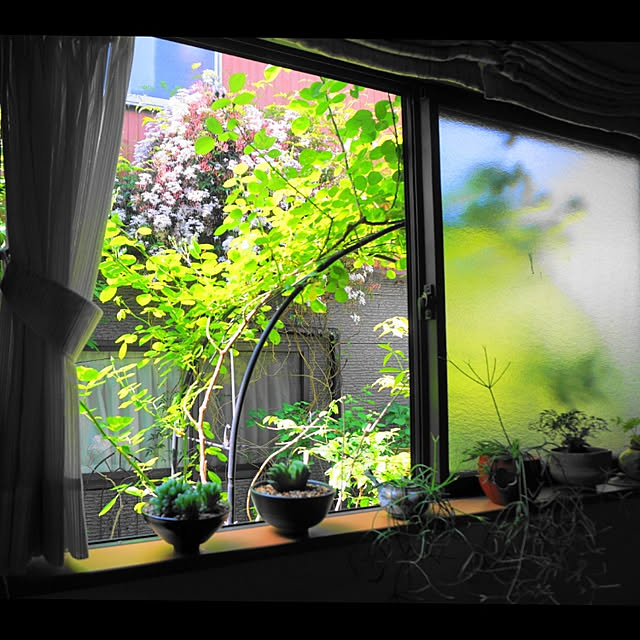 aromameさんの実例写真