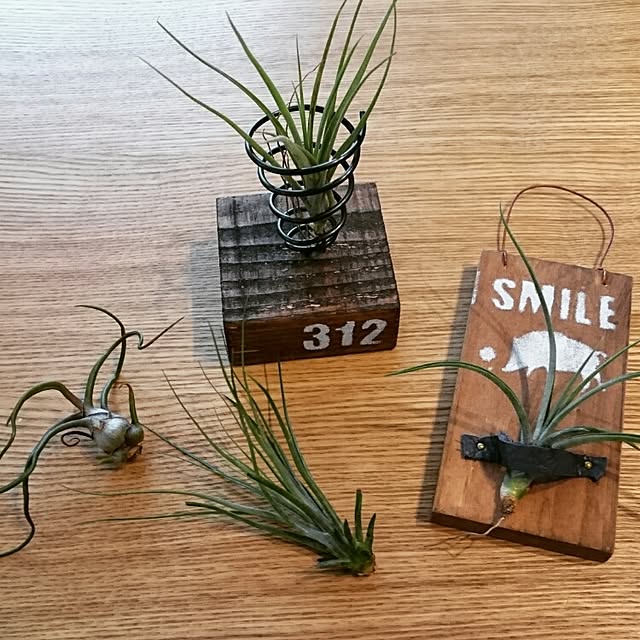 Haruminさんの実例写真
