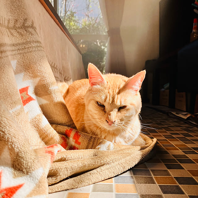 tomorinさんの部屋