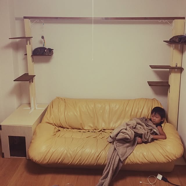 nissyiさんの実例写真