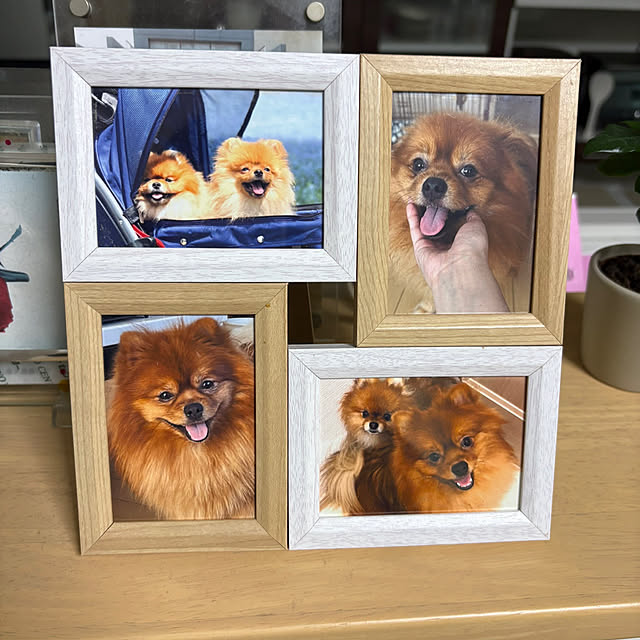 60Harrierさんの部屋