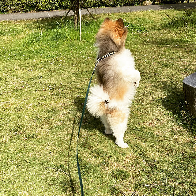 miさんの実例写真