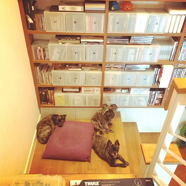 Thammaratさんの実例写真