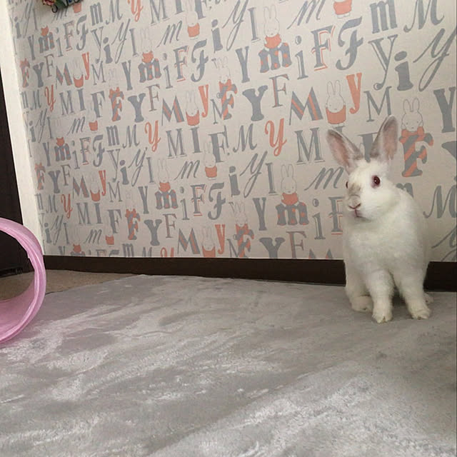 rukoさんの実例写真