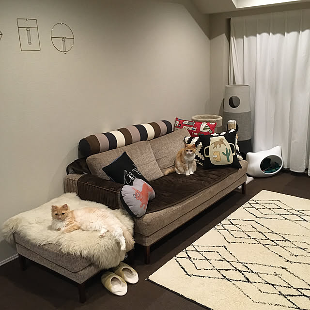 Ellenaさんの実例写真