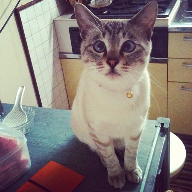 UGOさんの実例写真