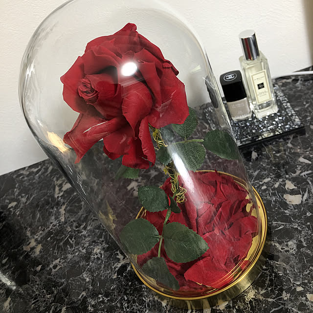 ochiyasuさんの実例写真
