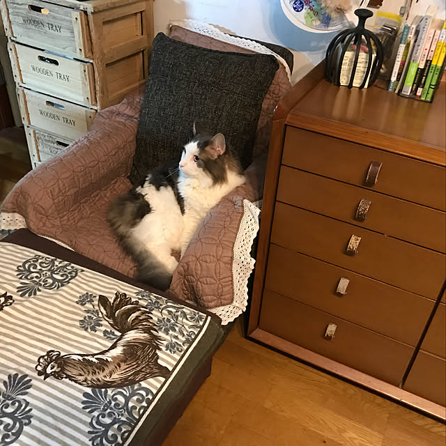 masakoさんの実例写真