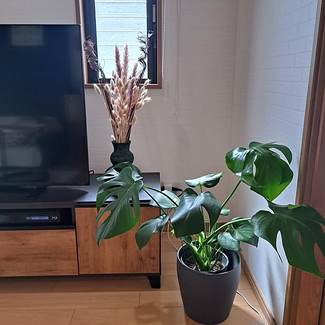toro_roomさんの実例写真