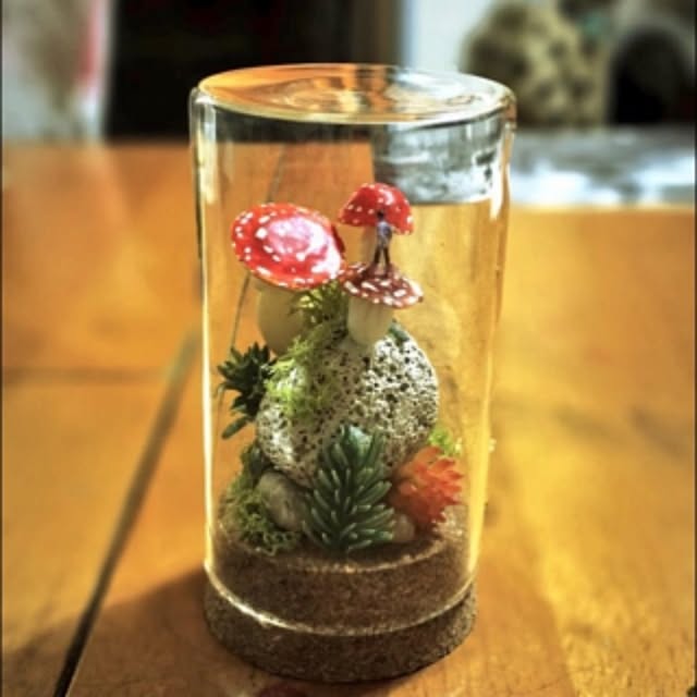 ramuchop3000さんの実例写真