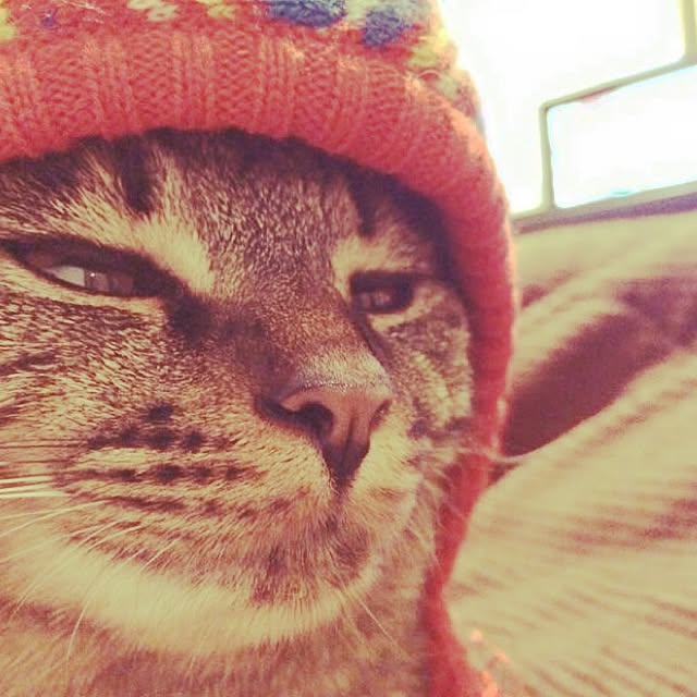Makotoさんの実例写真