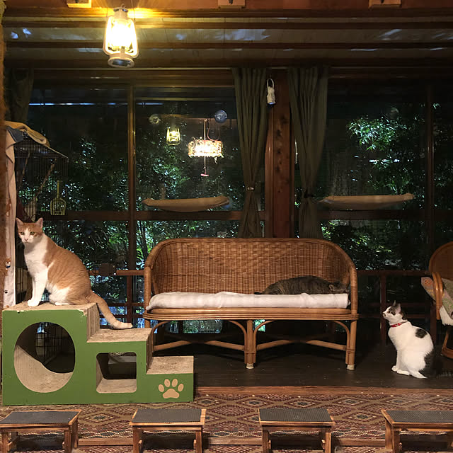 Oreoさんの実例写真