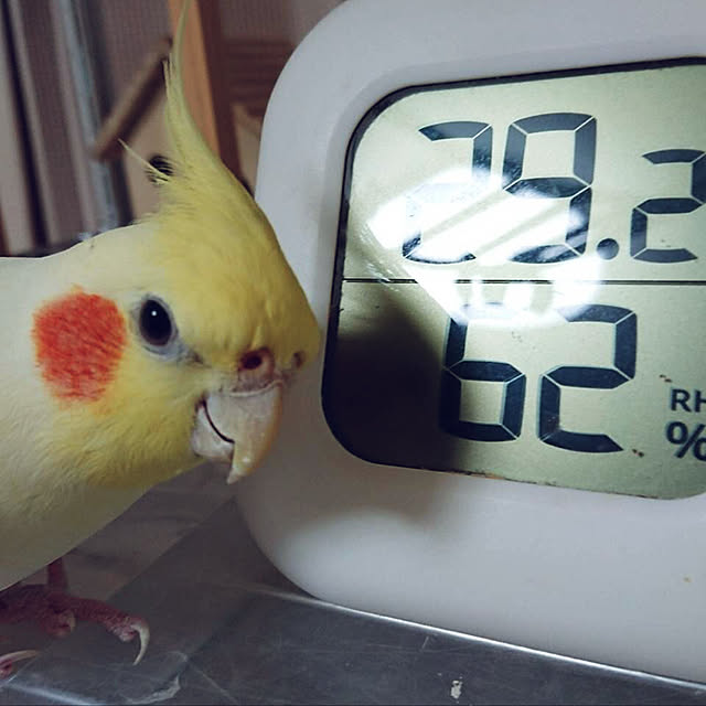 toratanさんの実例写真