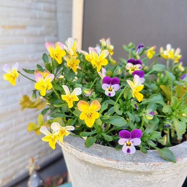 Jijiさんの実例写真