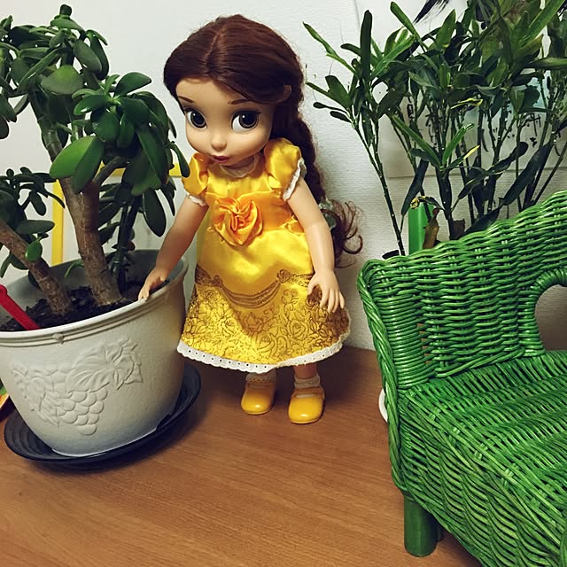 Ayamagakireiさんの実例写真