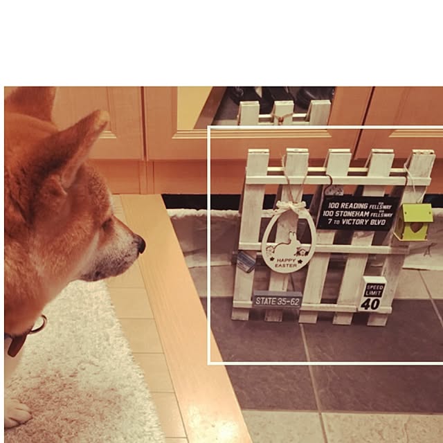 kotaさんの実例写真
