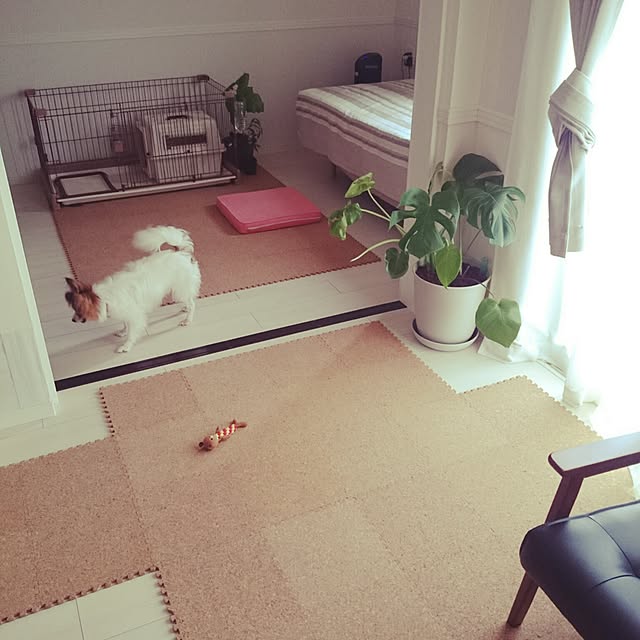 hiroさんの実例写真