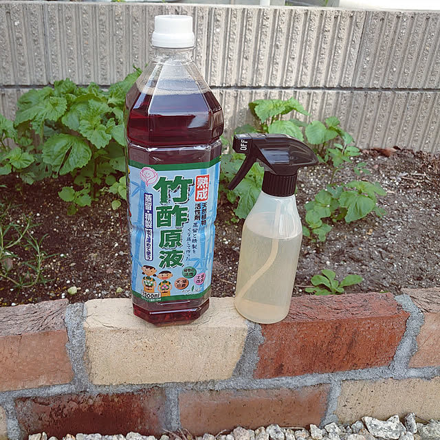 kiyoさんの実例写真