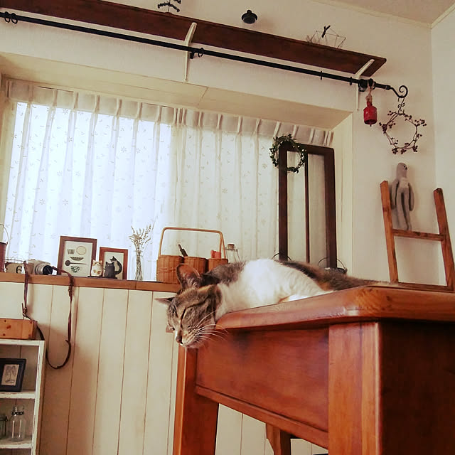 tomo1220さんの実例写真