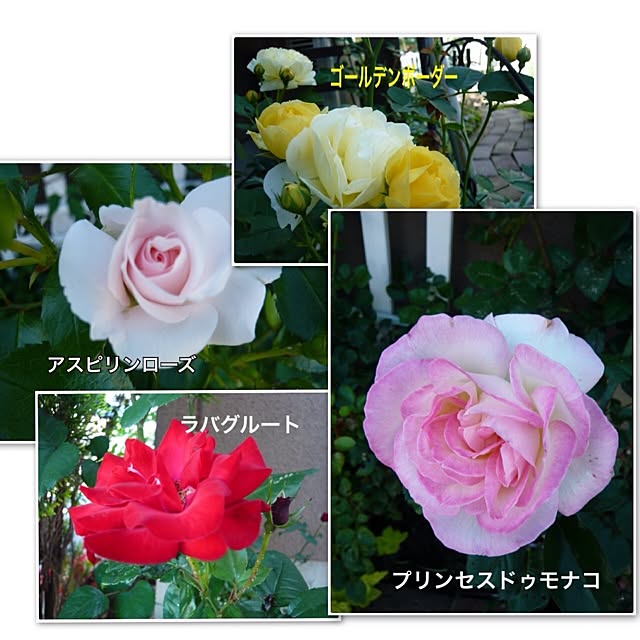 ksyanさんの実例写真