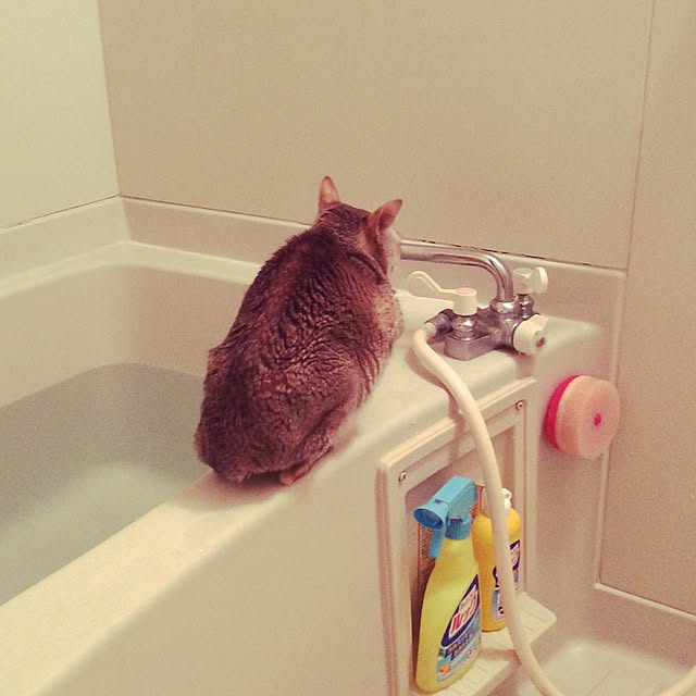 miikoさんの実例写真