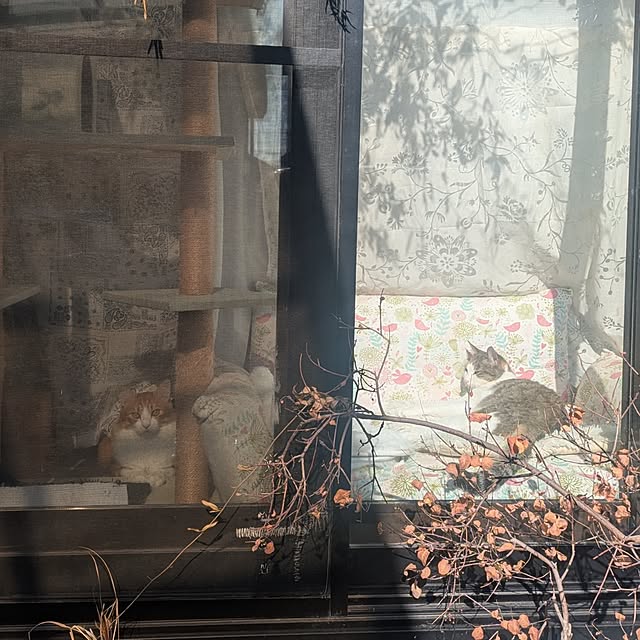 mori_6_12さんの実例写真