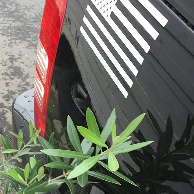 jun3さんの実例写真