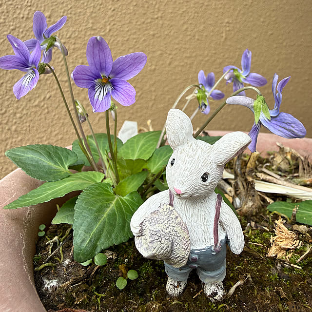 Aqettyさんの実例写真