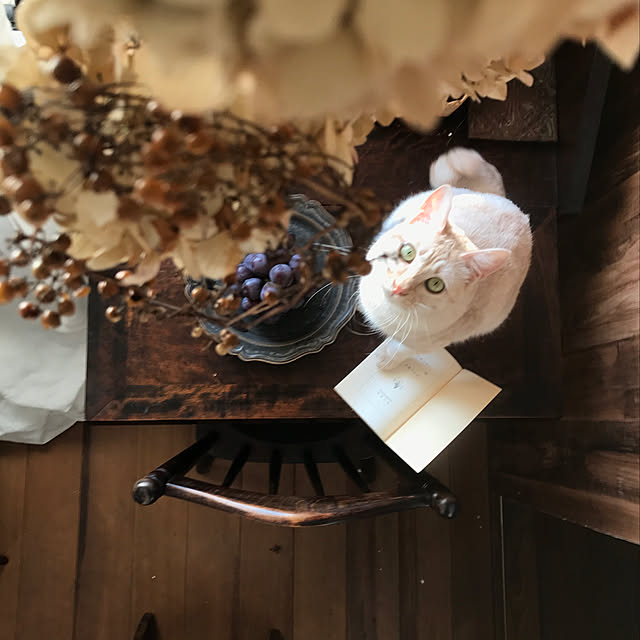 atsさんの実例写真