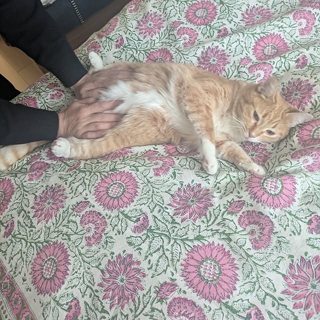 minnieさんの部屋