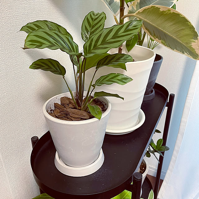 shidakaさんの部屋