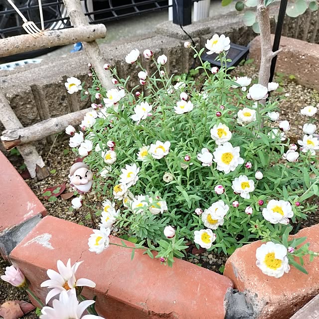 yuzunasachiさんの部屋