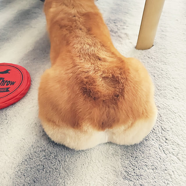 akimameさんの実例写真