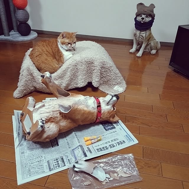 NOAHさんの部屋