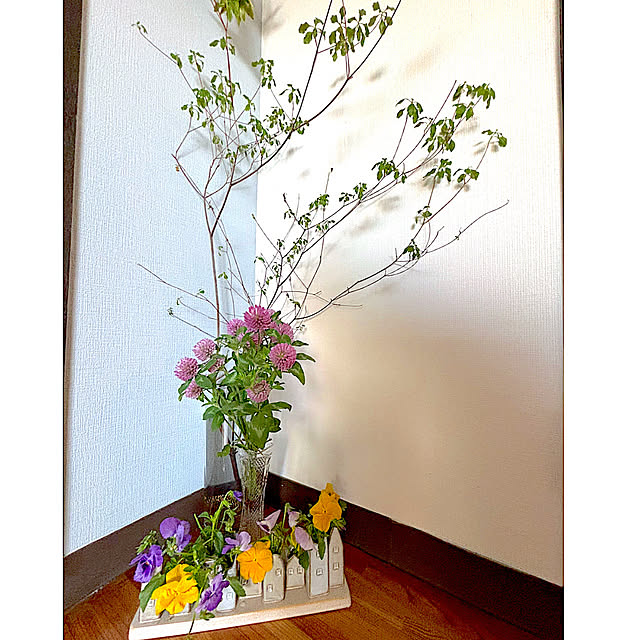 syutmmさんの部屋