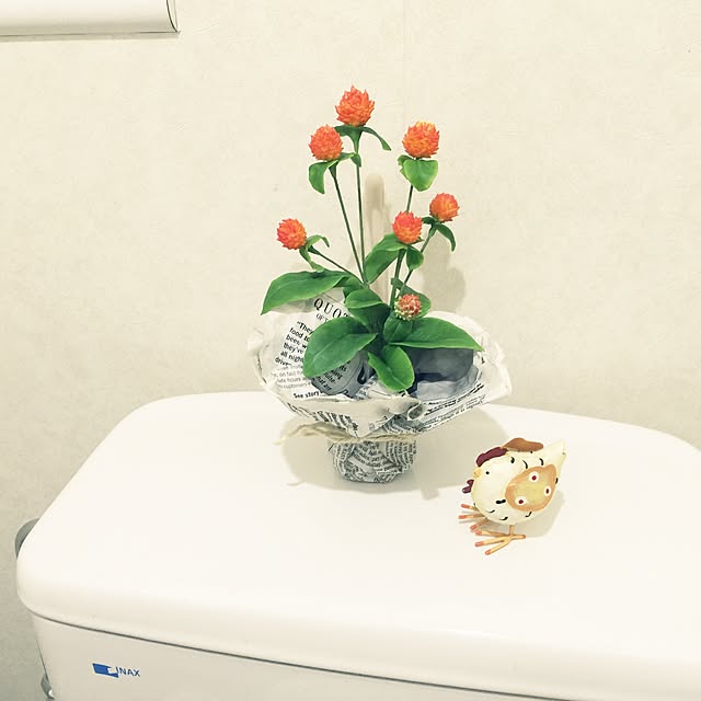 k55さんの実例写真
