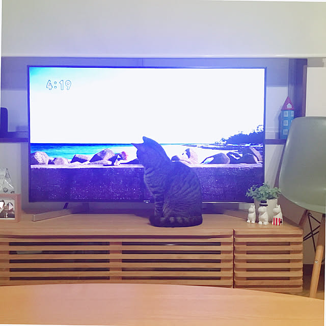 anさんの実例写真
