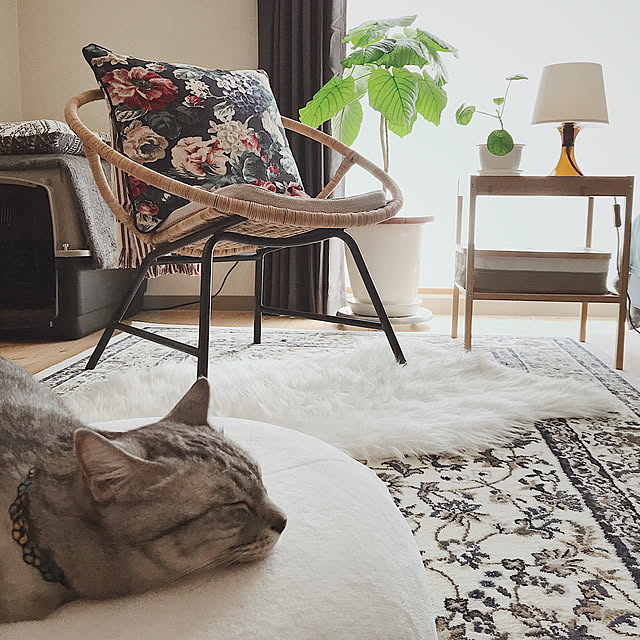 ineko_kさんの実例写真