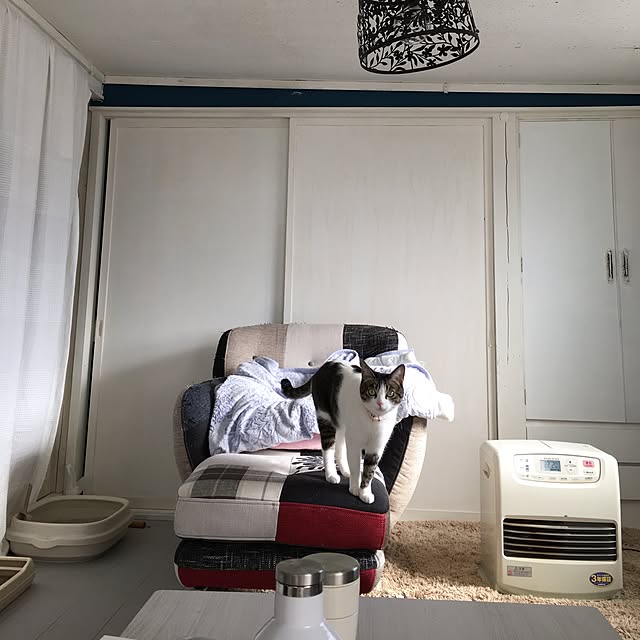 Shihoさんの実例写真