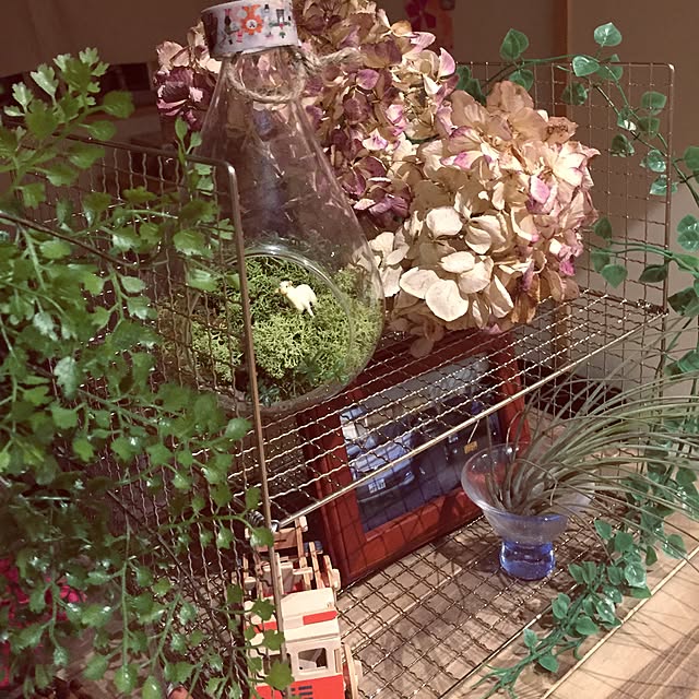 wa-koさんの実例写真