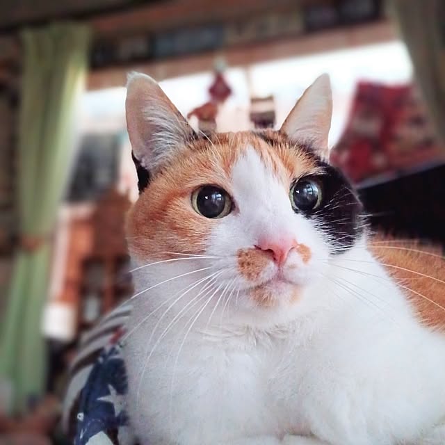 nanaさんの部屋