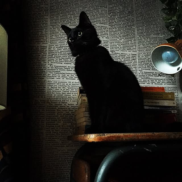 Naoki.さんの実例写真