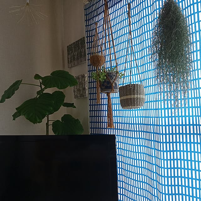 ririeeさんの実例写真