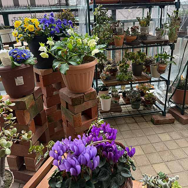 Aqettyさんの部屋