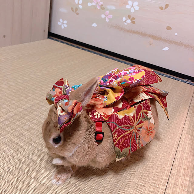 mi-hayaさんの実例写真