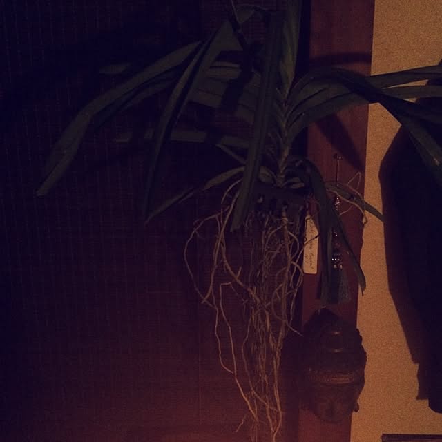 ODQさんの実例写真