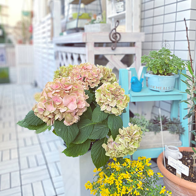 rieさんの実例写真