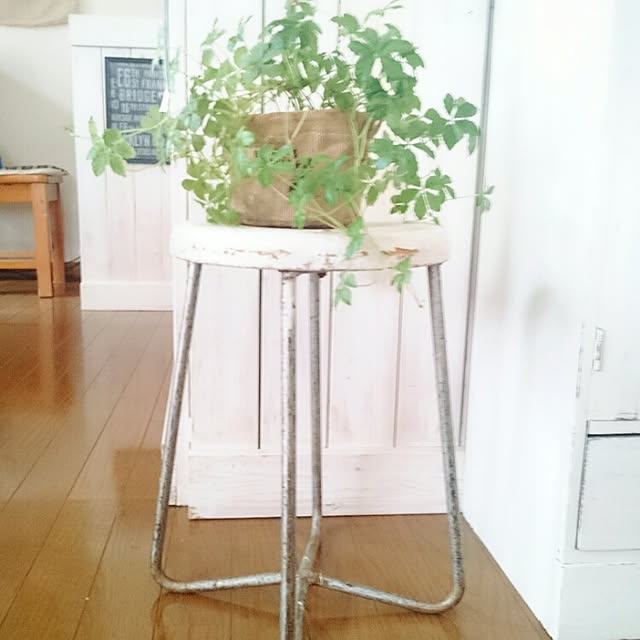 mayumayuさんの実例写真