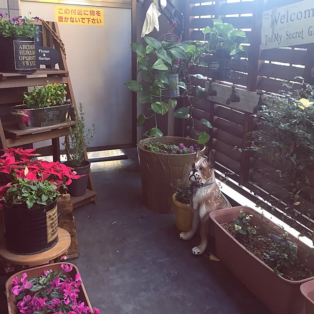 kiyomiさんの実例写真